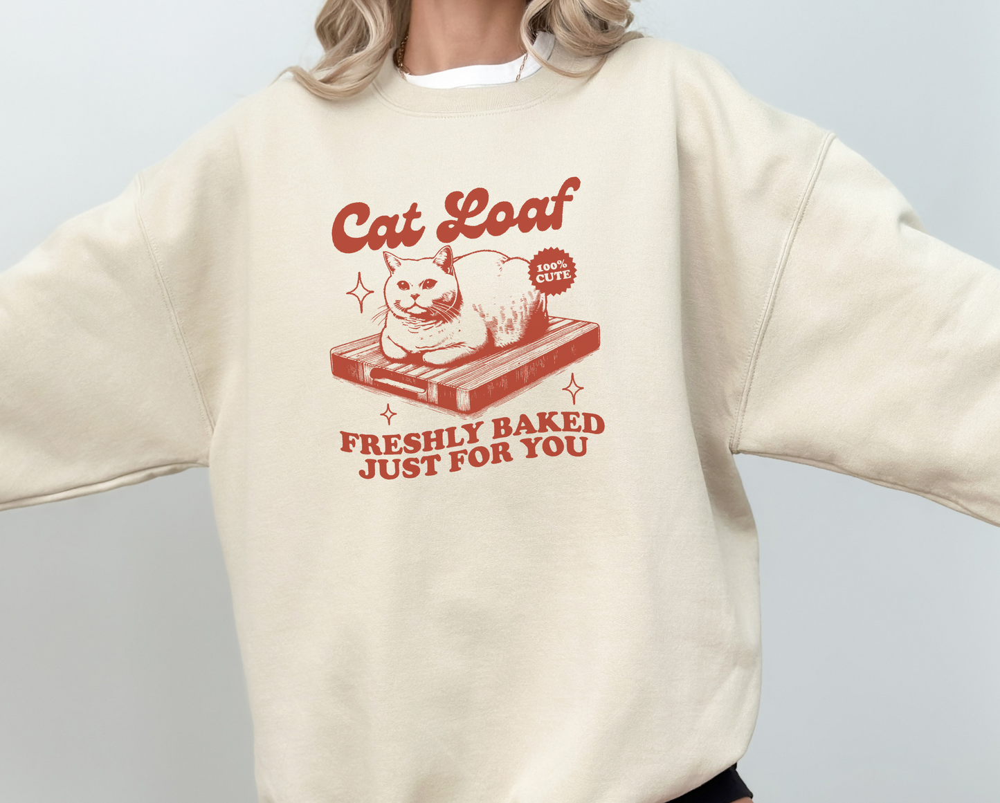 Y2K Aesthetic and Trendy "Cat Loaf" 2000's Style Sweatshirt